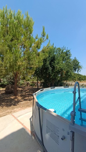 Jardín